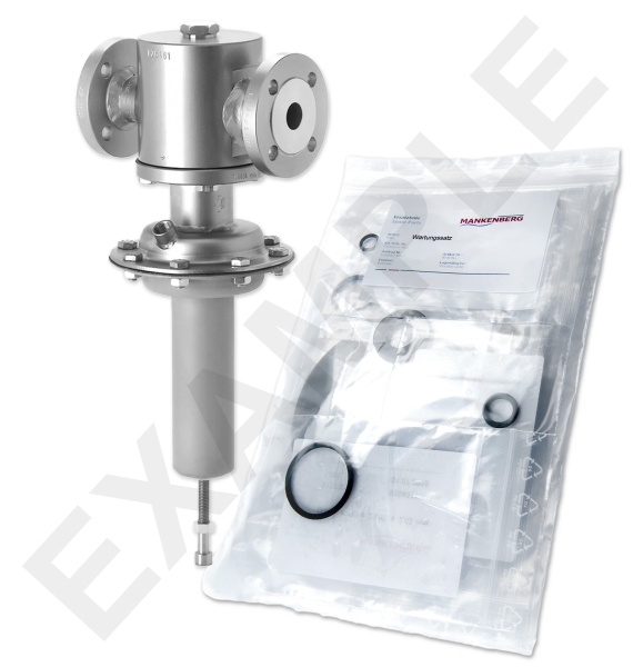 Maintenance Kit WS/DM512-25-FA05-63-D058-2,5-ST-YC-E71 | 6526078L-17   WS