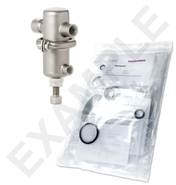 Wartungssatz WS/DM506      1/4*315TX,15E-0,5EV | 6499610TA-29  WS