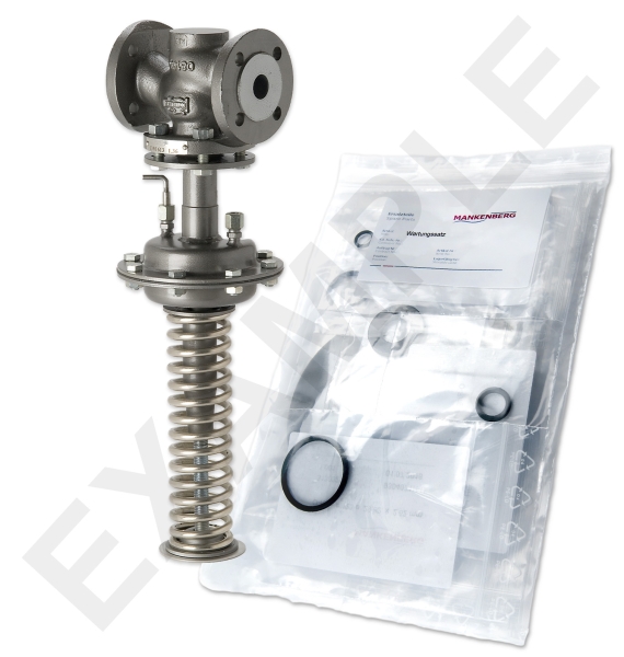 Wartungssatz WS/DM613-15-FA13-40-D068-4-CS-NC-N | 65501706      WS