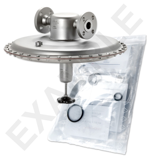 Wartungssatz WS/DM762F  25    * 16TX0,9S0,05FV | 6630024TA-11  WS